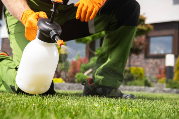Best Residential Pest Control  in Moose Lake, MN