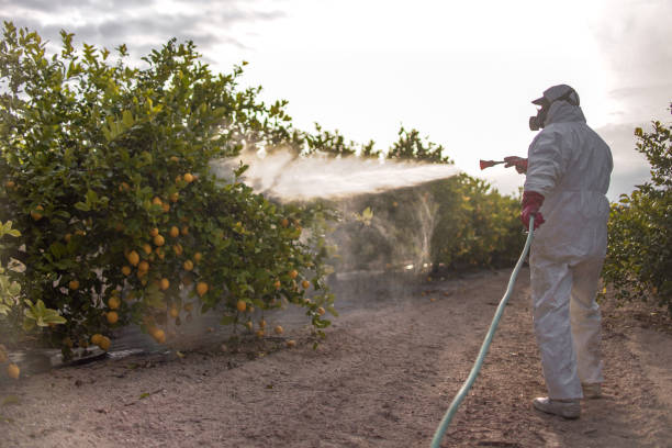 Best Pest Inspection Near Me  in Moose Lake, MN
