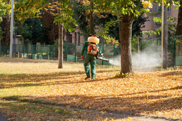 Best Wasp Removal Services  in Moose Lake, MN