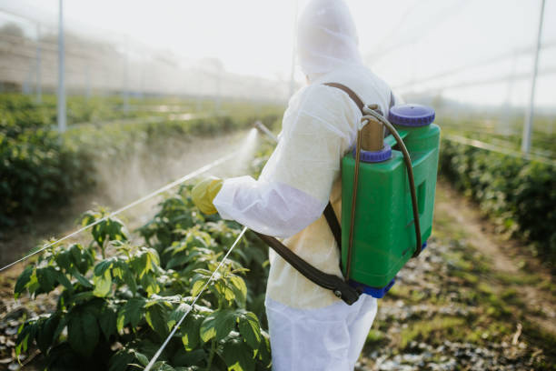 Best Exterminator Services  in Moose Lake, MN